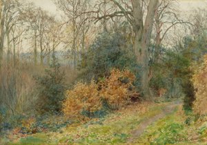 Stigen genom skogen, 1902